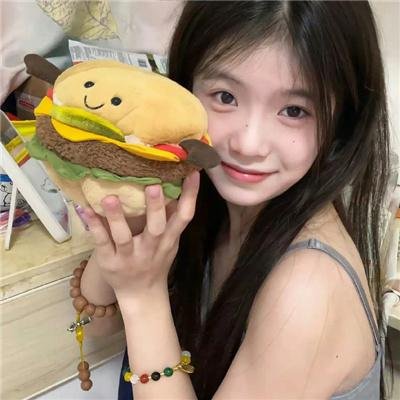 完美圣诞节